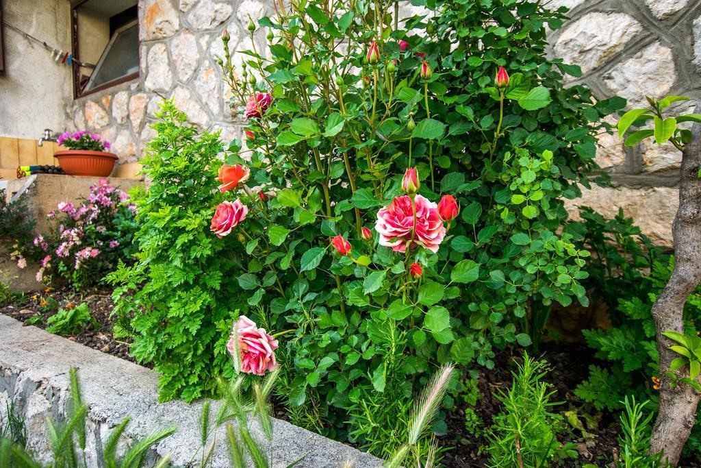 Diana Rooms And Apartments Starigrad Paklenica Luaran gambar